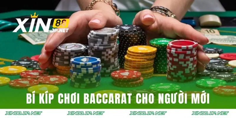 Bí kíp chơi Baccarat XIN88 cho người mới tham gia