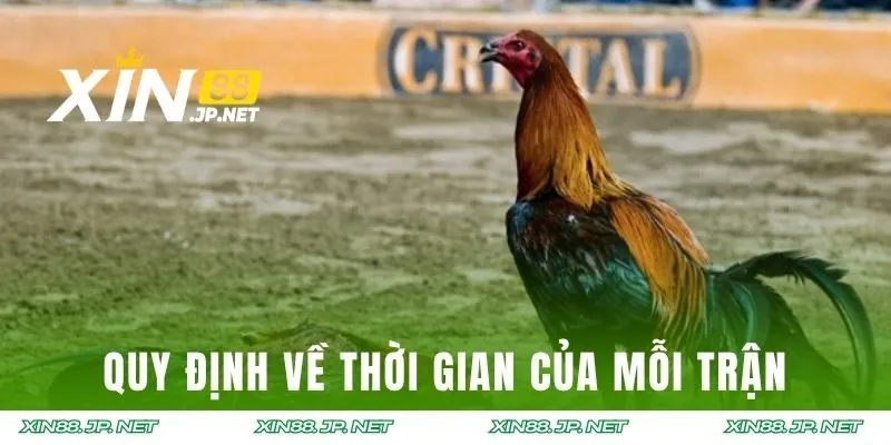 Quy định về thời gian của mỗi trận